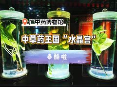 -广东中医药博物馆