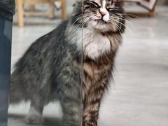 -巴倒烫陆派火锅山庄(南山总店)