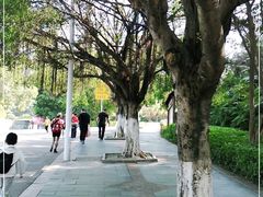 -水濂山森林公园