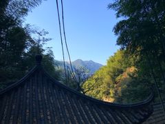 -藏龙百瀑风景区