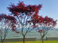 -东钱湖小普陀景区