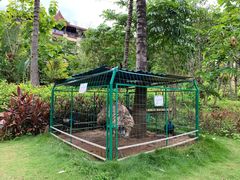 -西双版纳融创皇冠假日度假酒店