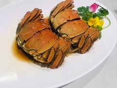 -蝶园·装修中(BFC外滩金融中心店)