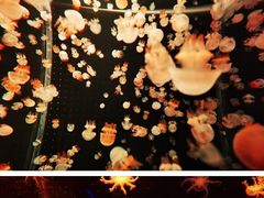 -多彩贵州城极地海洋世界