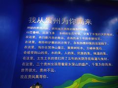 -贵凤凰贵州米粉(望京店)