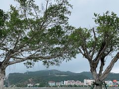 -珠海长隆海洋王国