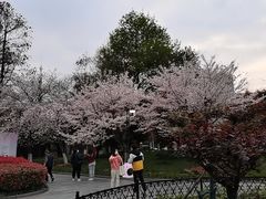 -堤角公园