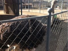 -意大利农场度假村