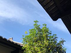 -毛泽东才溪乡调查旧址景区