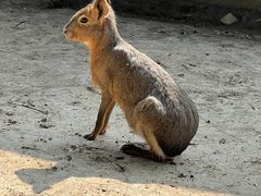 -苏州太湖西山岛开心农场
