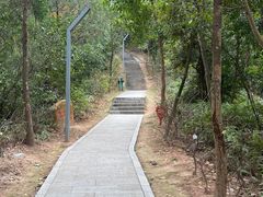 -大亚湾红树林城市湿地公园