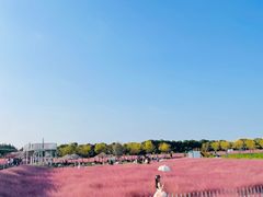 -嘉北郊野公园