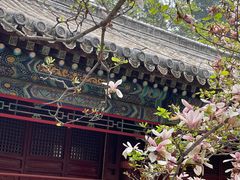 -潭柘寺景区