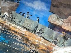-海合安武汉极地海洋公园