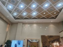 -碧莲盛·不剃发植发