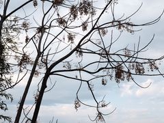 -良渚古城遗址公园