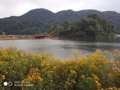 -广州市石门国家森林公园