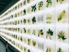 -广东中医药博物馆
