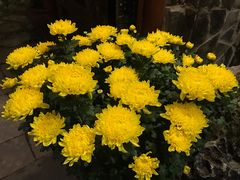 -Lam Vien Restaurant