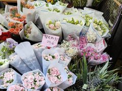 -循礼门鲜花花市(武汉循礼门店)