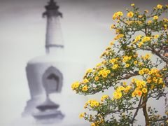 -北海公园