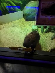 -未来动物城主题公园(正弘城店)