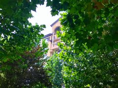 -天鹅湖生态旅游风景区