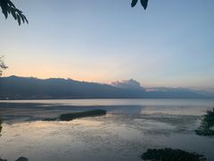 -野菌皇海景野生菌火锅(滨海大道店)