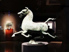 -甘肃省博物馆