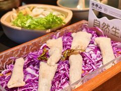 -季季山·云南野生菌火锅(上海首店)
