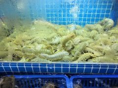 -老东镇啤酒屋海鲜加工·蒸汽海鲜·海鲜烧烤(台东店)