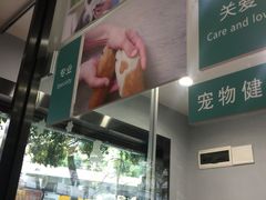 -瑞派动物医院·猫专科·至诚(江南中分院)