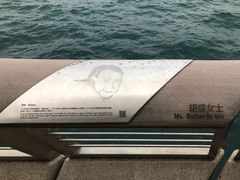 -星光大道