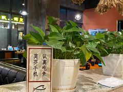 -川东长筷子耗儿鱼(万象润街店)
