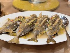 -百年银屏蚝烙·潮汕菜·非遗(乐山店)