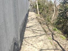 -上海佘山国家森林公园天马山园