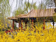 -南翠屏公园