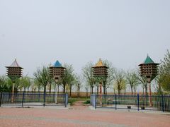 -南大港湿地风景区