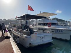 -小猫钓鱼海钓俱乐部(椰梦长廊店)