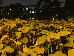 -四川大学(望江校区)