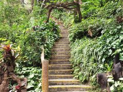 -野象谷景区