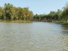-杨柳青庄园