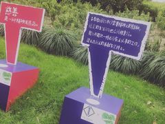 -喜茶(上海兴业太古汇店)