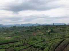 -乌石村