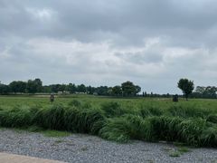 -汉长安城未央宫国家考古遗址公园