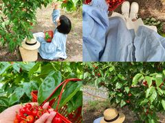 -樱桃山旅游景区