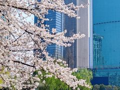 -西北湖绿化广场