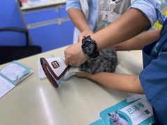 -瑞派动物医院·猫专科·至诚(江南中分院)