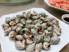 白灼花螺-双月饭店·20年老字号(新村店)
