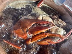 -老财炒饭·熟地蟹·冬瓜蟹